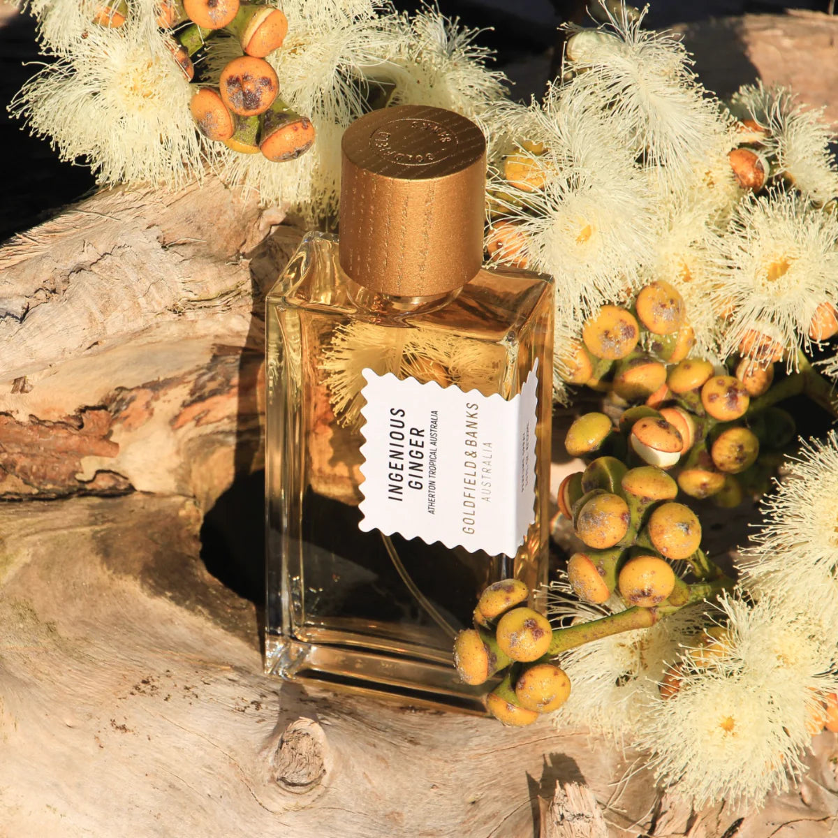 INGENIOUS GINGER PARFUM Fris, bruisend & zonnig — citrus, ginger, magnolia, amber: instant happiness