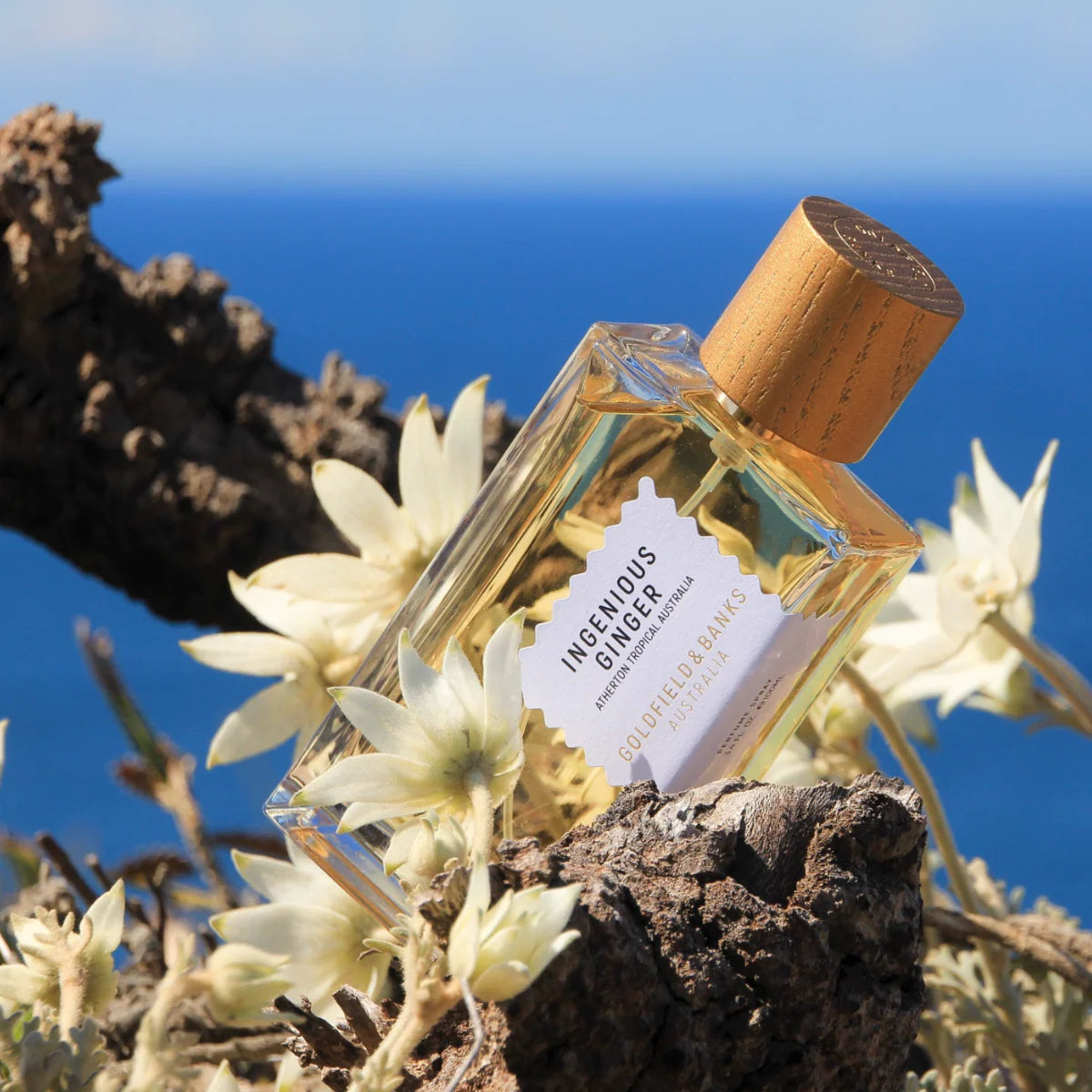 INGENIOUS GINGER PARFUM Fris, bruisend & zonnig — citrus, ginger, magnolia, amber: instant happiness