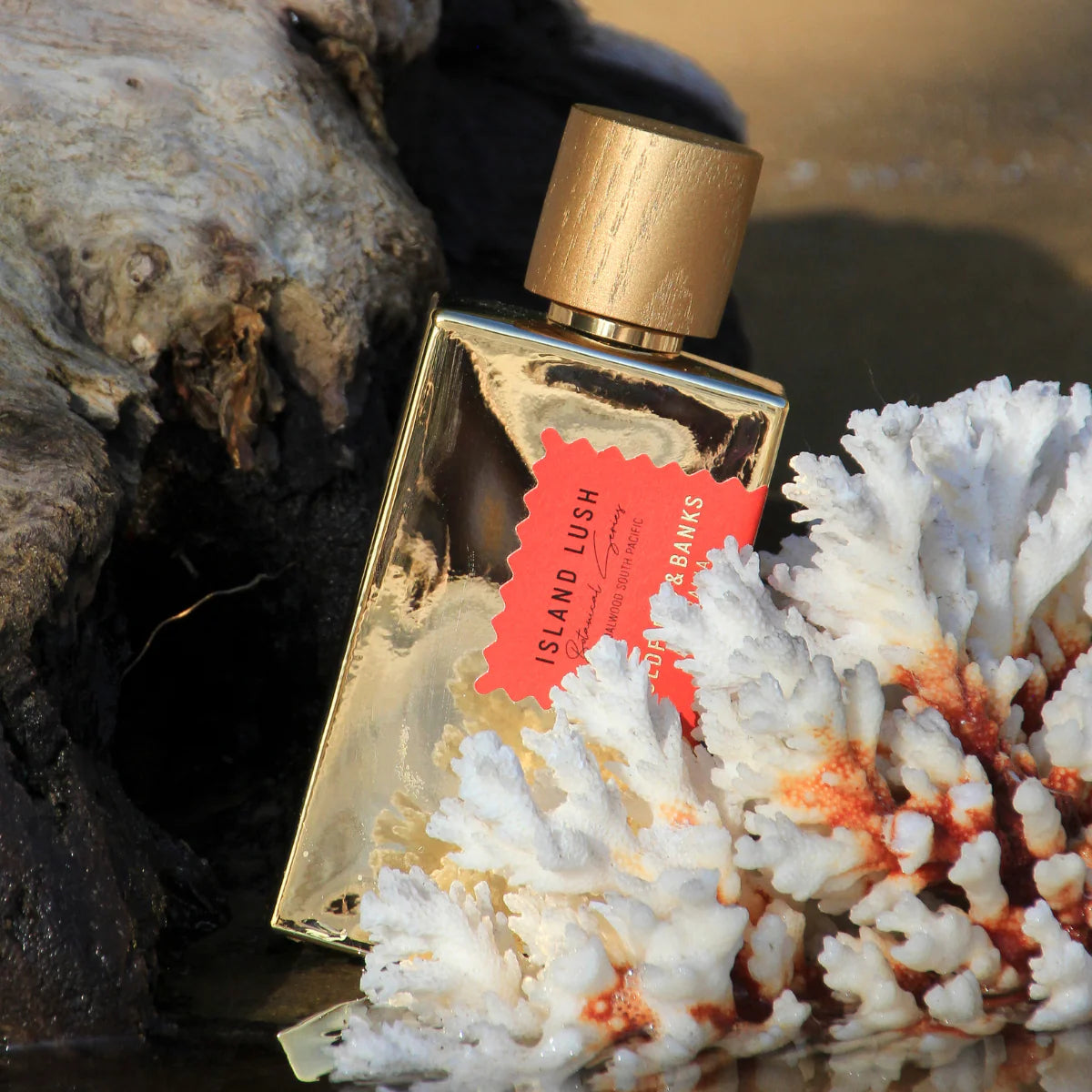 ISLAND LUSH PARFUM Tropische houtluxe & wild spice – sandalwood als signature scent