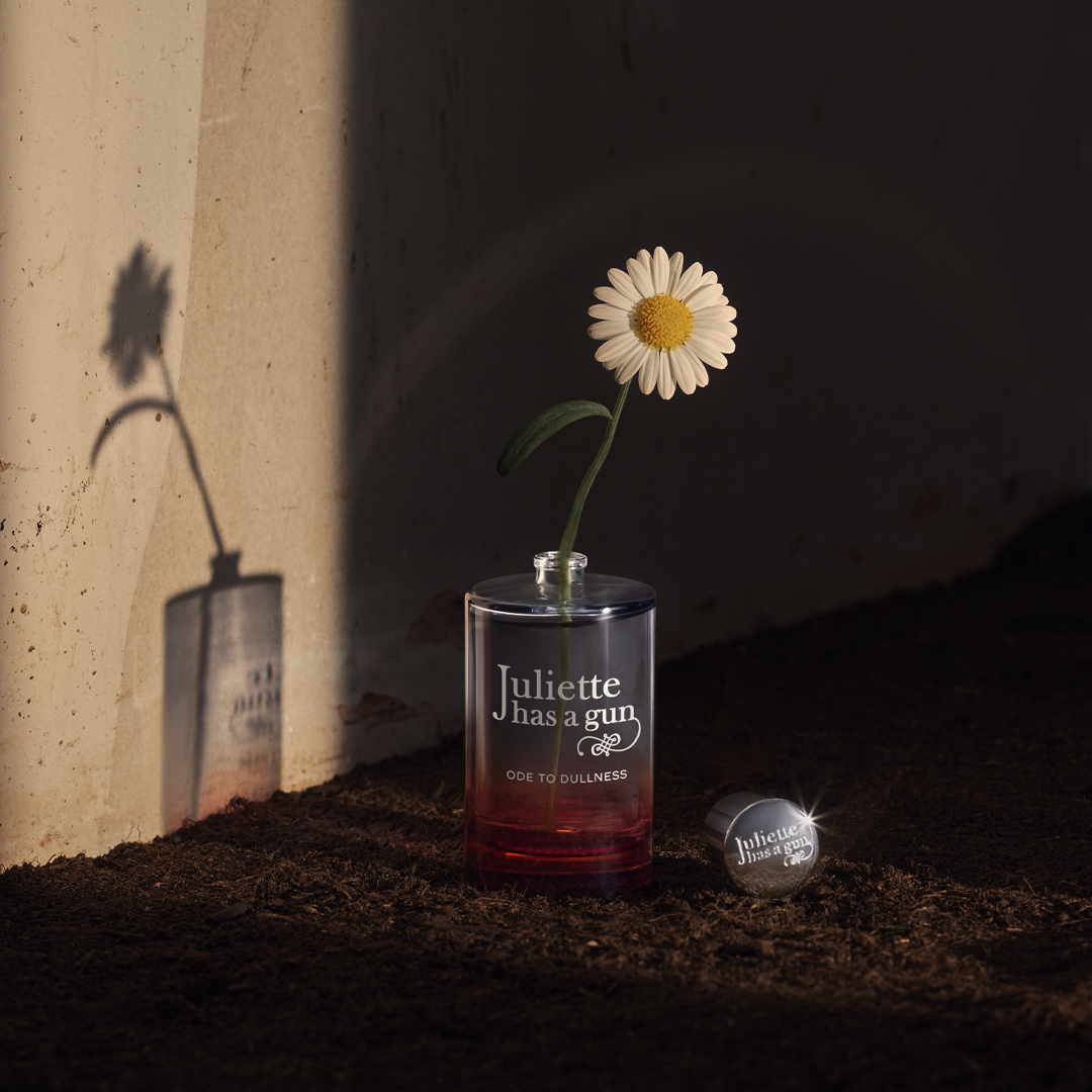 ODE TO DULLNESS