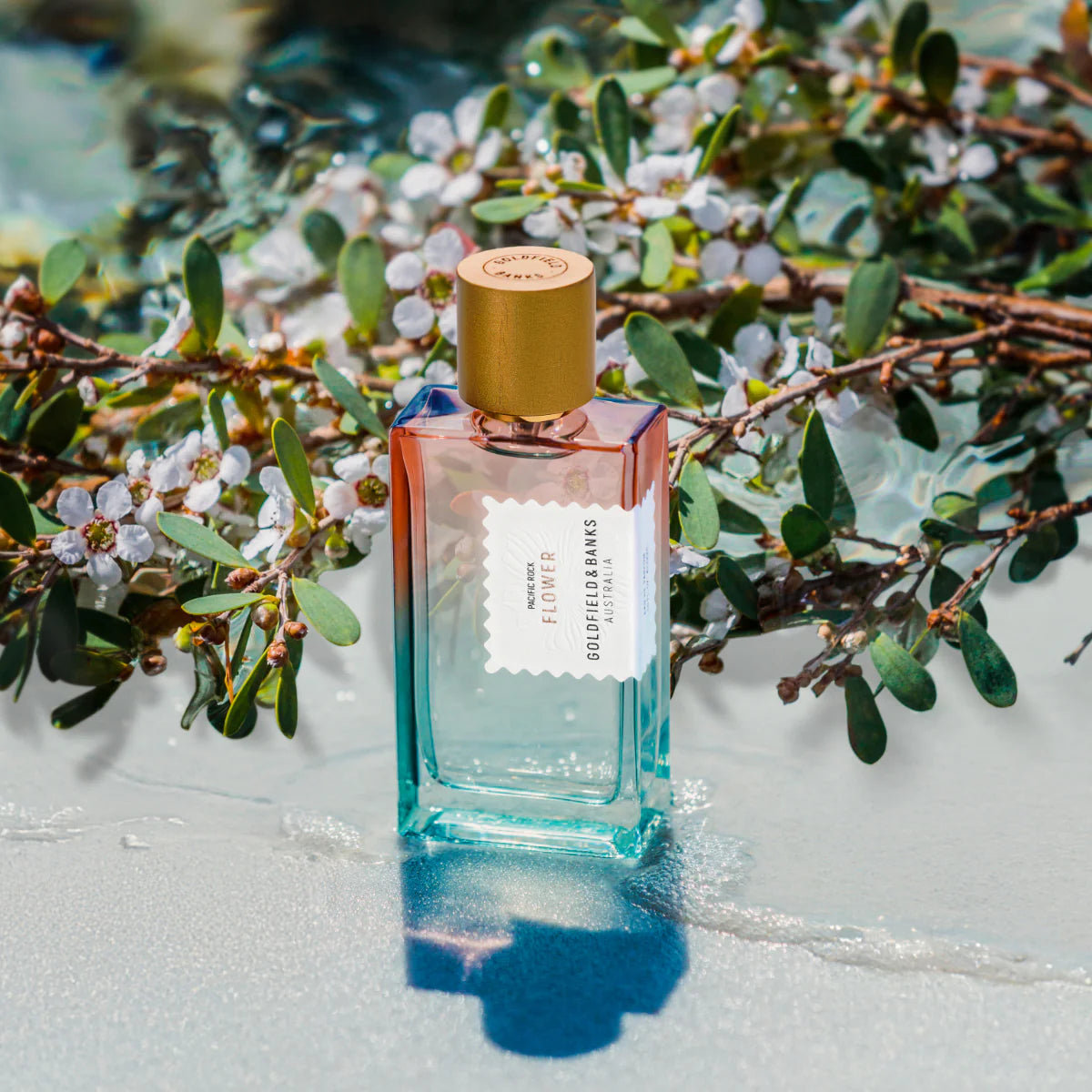 PACIFIC ROCK FLOWER PARFUM Limited Release! Aquatisch, witbloemig & sparkling clean – de nieuwste bestseller
