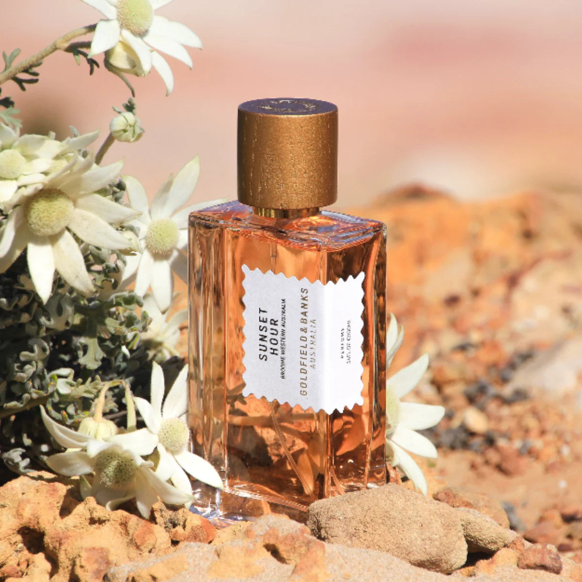 SUNSET HOUR PARFUM Tropisch-fruitige bestseller: frisse cocktail × sensuele zonsondergang