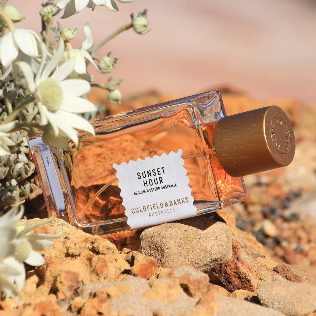 SUNSET HOUR PARFUM Tropisch-fruitige bestseller: frisse cocktail × sensuele zonsondergang