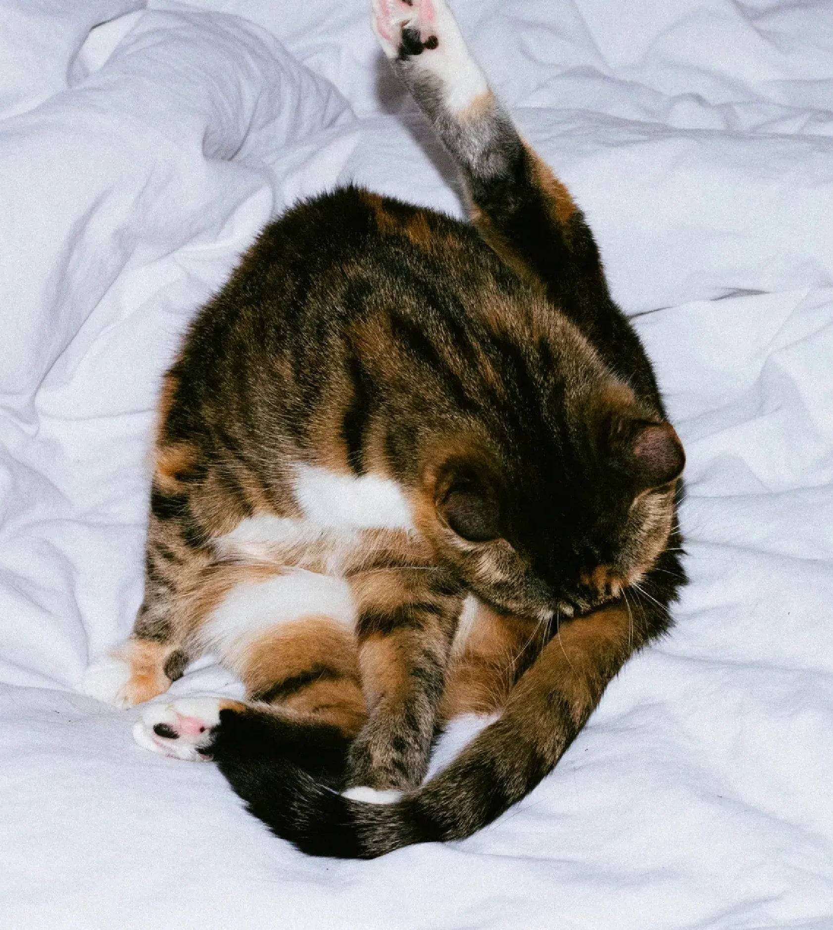 MAISON MATINE NIGHT FEVER DISCOVERY SET Spray, play, repeat