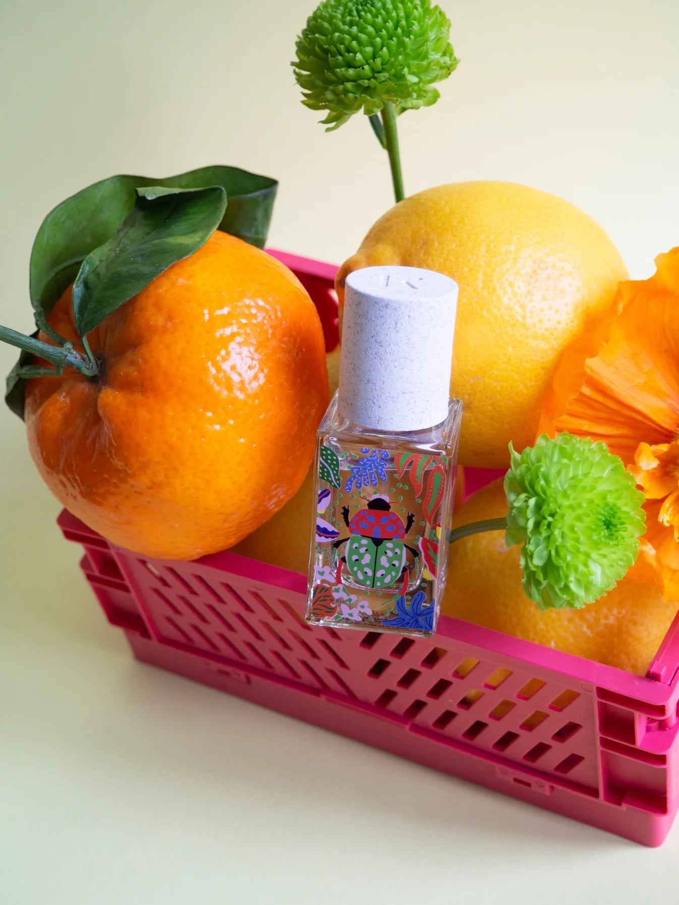 NATURE INSOLENTE A summery and sharp freshness !