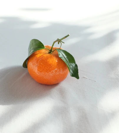 NATURE INSOLENTE A summery and sharp freshness !